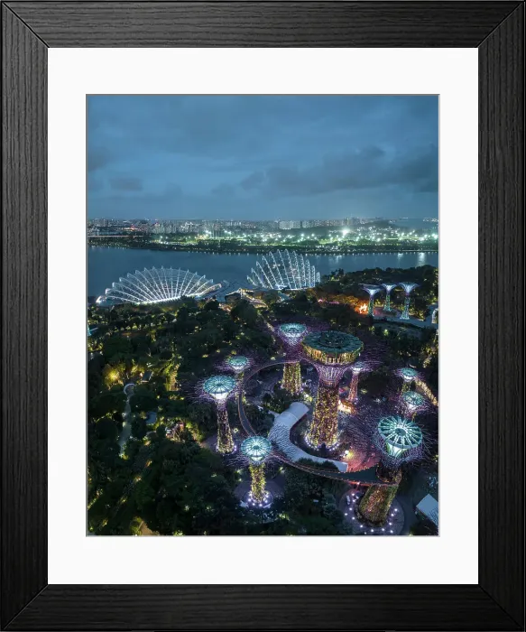 Framed Print : Supertree Grove, Gardens by the Bay, Singapore, Asia