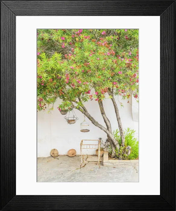 Framed Print : Courtyard at Hacienda Las Mesas, Jerez de la Frontera, Andalusia, Spain Framed Print : Courtyard at Hacienda Las Mesas, Jerez de la Frontera, Andalusia, Spain