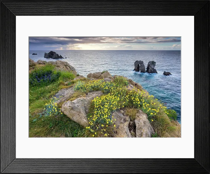 Framed Print : Spain, Cantabria, Los Urros near Liencres village, natural park Framed Print : Spain, Cantabria, Los Urros near Liencres village, natural park