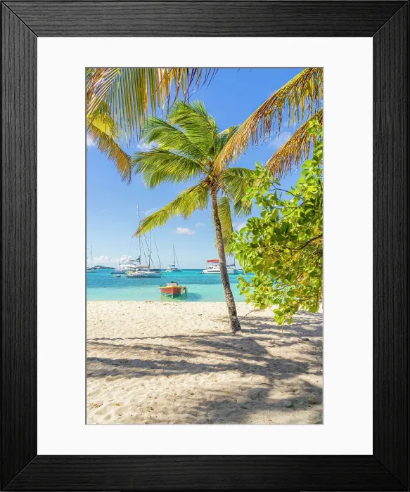 Framed Print : Petit Rameau Island part of the Tobago Cays in the Grenadines Islands, Saint Vincent and the Grenadines, Caribbean Framed Print : Petit Rameau Island part of the Tobago Cays in the Grenadines Islands, Saint Vincent and the Grenadines, Caribbean