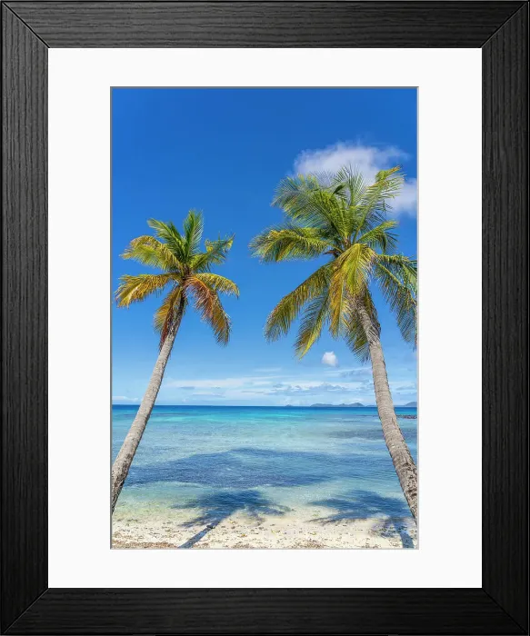 Framed Print : Palm trees, Britania Bay, Mustique, Grenadines, Saint Vincent and the Grenadines Islands, Caribbean Framed Print : Palm trees, Britania Bay, Mustique, Grenadines, Saint Vincent and the Grenadines Islands, Caribbean