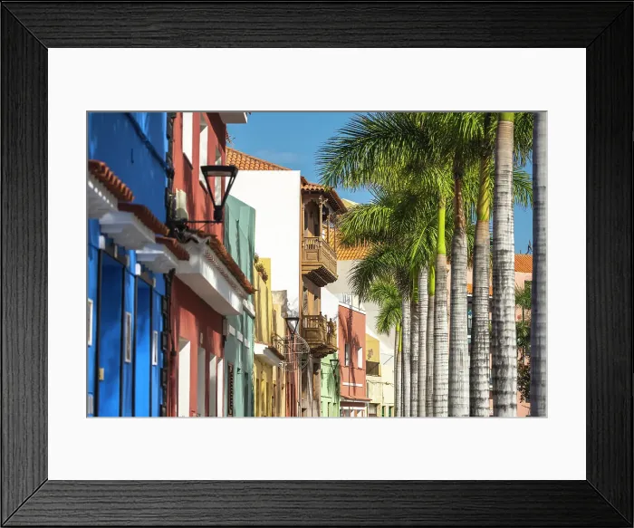 Framed Print : Puerto de la Cruz. Tenerife, Canary Islands, Spain Framed Print : Puerto de la Cruz. Tenerife, Canary Islands, Spain