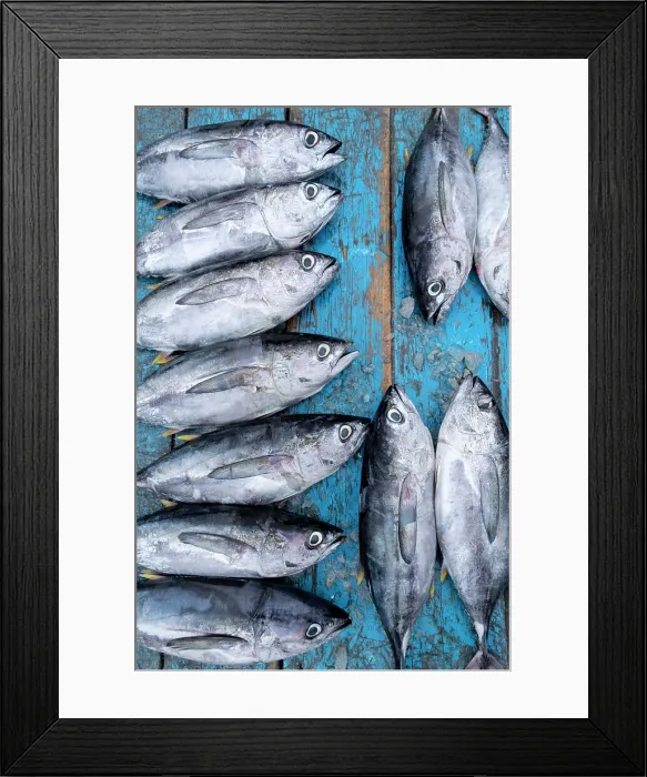 Framed Print : Fishmarket, Tarqui Beach, Manta, Manabi, Ecuador Framed Print : Fishmarket, Tarqui Beach, Manta, Manabi, Ecuador