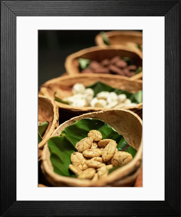 Framed Print : Bowls of Macamba, Canopy Bridge, Napo Province, Ecuador Framed Print : Bowls of Macamba, Canopy Bridge, Napo Province, Ecuador