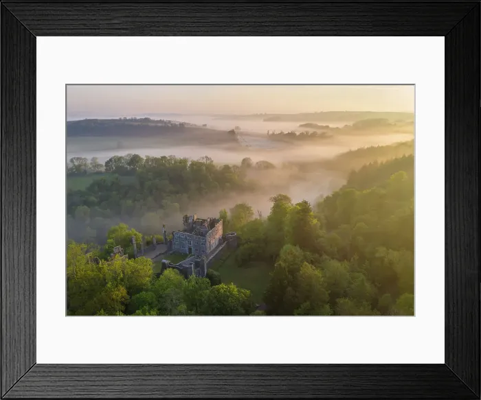 Framed Print : Beautiful misty sunrise above Berry Pomeroy Castle, Devon, England. Spring (May) 2023 Framed Print : Beautiful misty sunrise above Berry Pomeroy Castle, Devon, England. Spring (May) 2023
