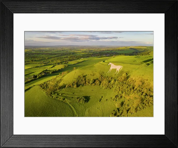 Framed Print : Aerial view of Westbury White Horse and Bratton Camp, Westbury, Wiltshire, England. Spring (May) 2023 Framed Print : Aerial view of Westbury White Horse and Bratton Camp, Westbury, Wiltshire, England. Spring (May) 2023
