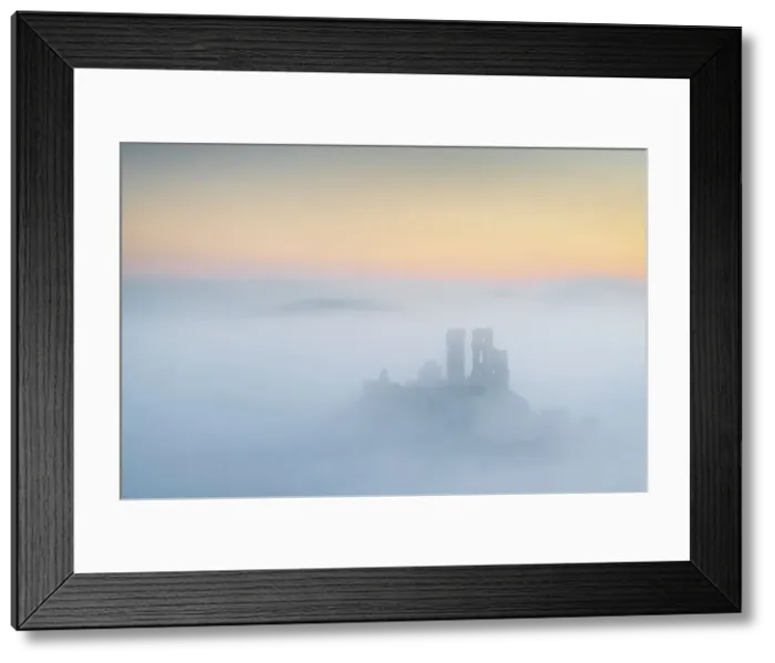Framed Print : Corfe Castle emerging from mist on a frosty wintry morning, Dorset, England. Winter (February) 2023 Framed Print : Corfe Castle emerging from mist on a frosty wintry morning, Dorset, England. Winter (February) 2023