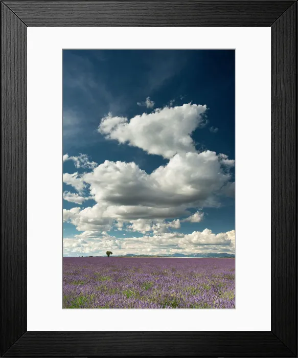 Framed Print : Cloudscape Over Lavender Field, Provence, France