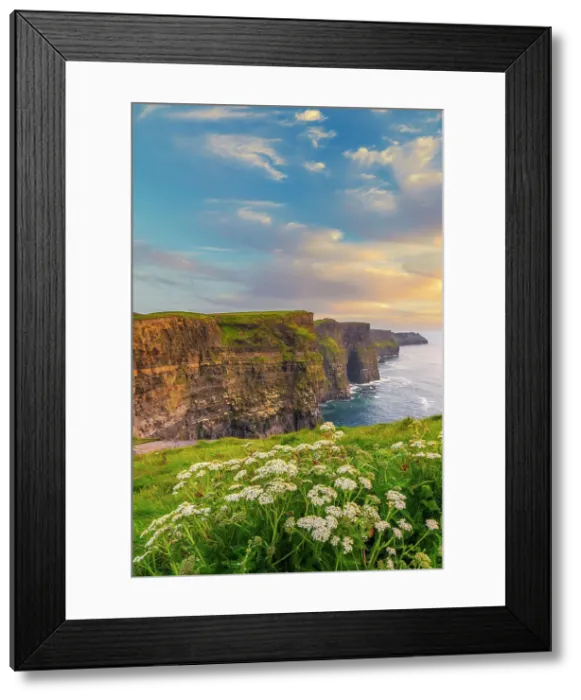 Framed Print : Ireland, Co. Clare, Cliffs of Moher with wild flowers in foreground Framed Print : Ireland, Co. Clare, Cliffs of Moher with wild flowers in foreground