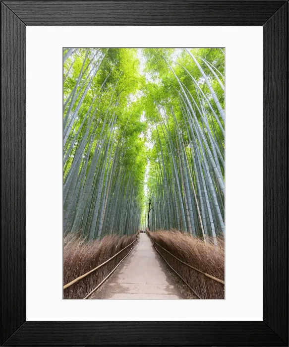 Framed Print : Path Through Bamboo Forest, Sagano, Arashiyama, Kyoto, Japan Framed Print : Path Through Bamboo Forest, Sagano, Arashiyama, Kyoto, Japan