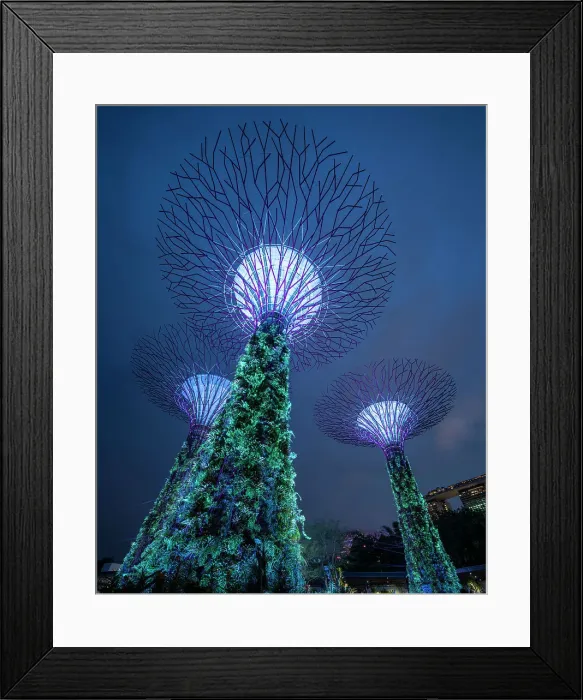 Framed Print : Supertree Grove, Gardens by the Bay, Singapore, Asia Framed Print : Supertree Grove, Gardens by the Bay, Singapore, Asia