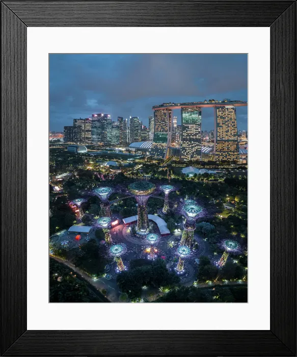 Framed Print : Supertree Grove, Gardens by the Bay, Singapore, Asia