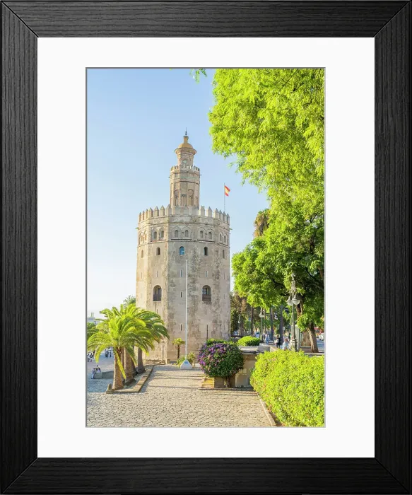 Framed Print : Torre del Oro, Seville, Andalusia, Spain Framed Print : Torre del Oro, Seville, Andalusia, Spain