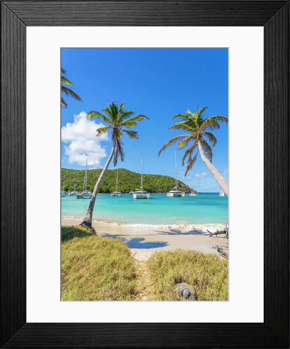 Framed Print : Salt Whistle bay Beach, Mayreau Island, in the Tobago cays in the Grenadines Islands, Saint Vincent and the Grenadines, Caribbean Framed Print : Salt Whistle bay Beach, Mayreau Island, in the Tobago cays in the Grenadines Islands, Saint Vincent and the Grenadines, Caribbean