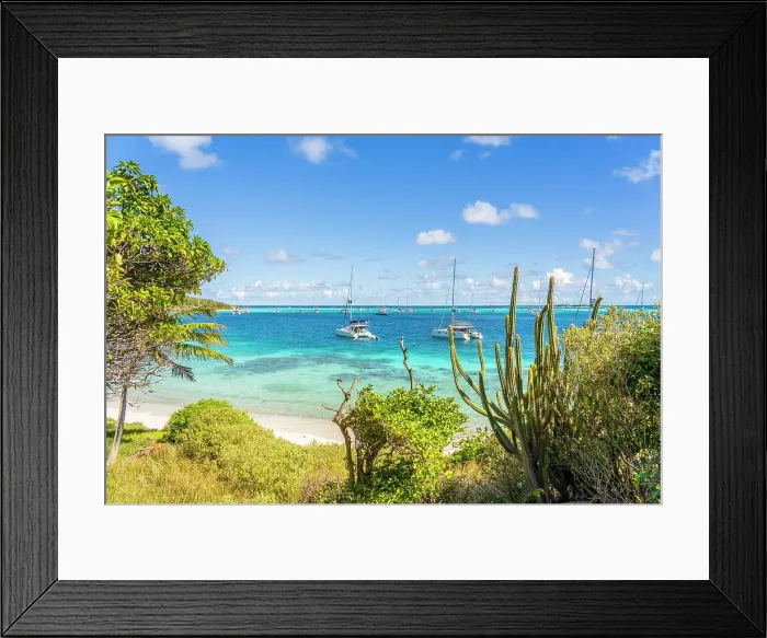 Framed Print : Petit Rameau Island part of the Tobago Cays in the Grenadines Islands, Saint Vincent and the Grenadines, Caribbean Framed Print : Petit Rameau Island part of the Tobago Cays in the Grenadines Islands, Saint Vincent and the Grenadines, Caribbean