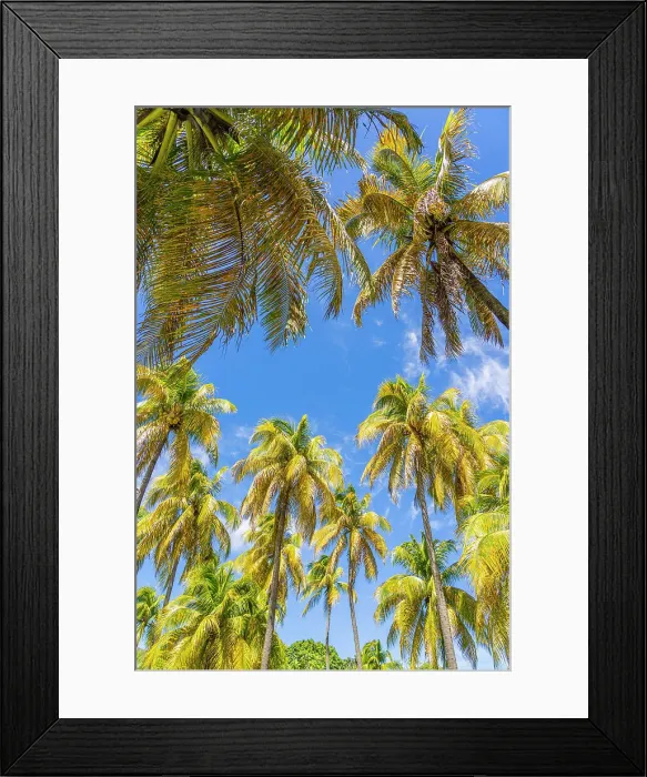 Framed Print : Bequia Island, Grenadine Islands, Saint Vincent and the Grenadines, Caribbean