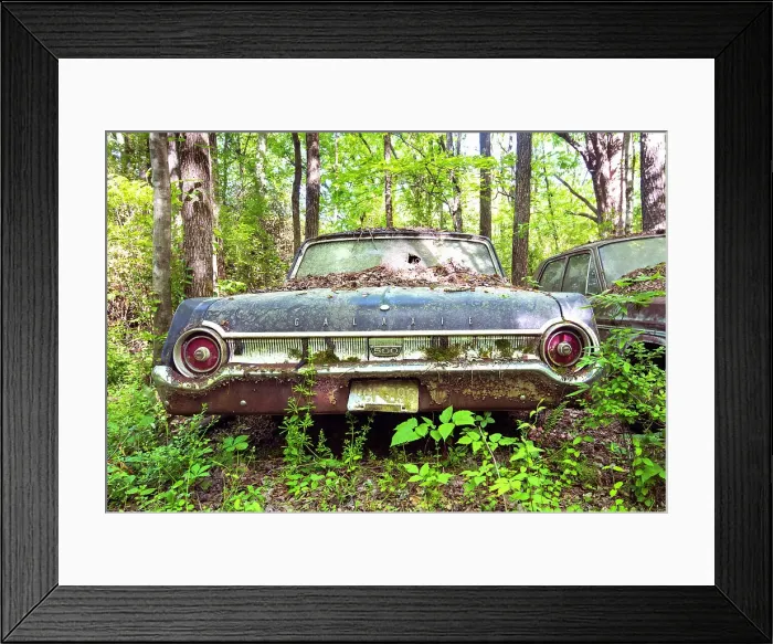 Framed Print : USA, White, Georgia, Old Car City USA, Classic Car & Truck Collection, Junkyard, Museum