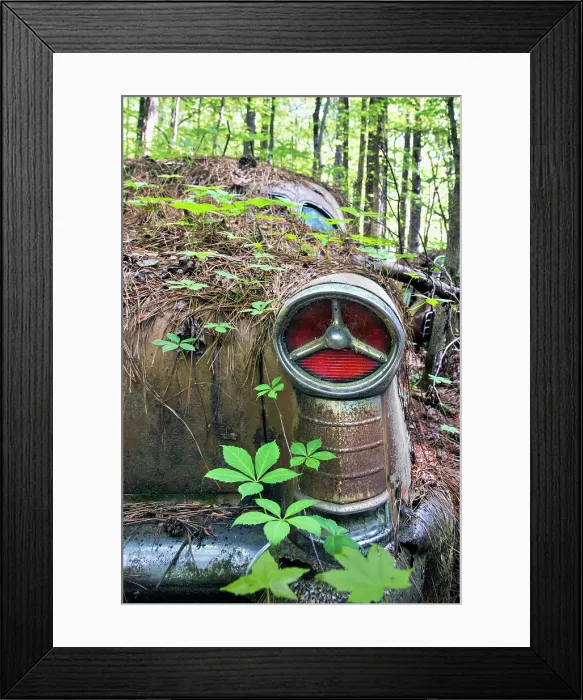 Framed Print : USA, White, Georgia, Old Car City USA, Classic Car & Truck Collection, Junkyard, Museum Framed Print : USA, White, Georgia, Old Car City USA, Classic Car & Truck Collection, Junkyard, Museum