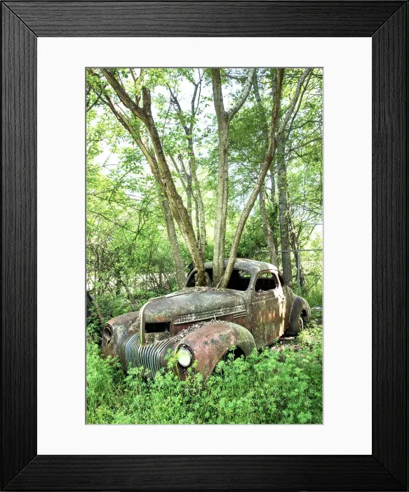 Framed Print : USA, White, Georgia, Old Car City USA, Classic Car & Truck Collection, Junkyard, Museum Framed Print : USA, White, Georgia, Old Car City USA, Classic Car & Truck Collection, Junkyard, Museum