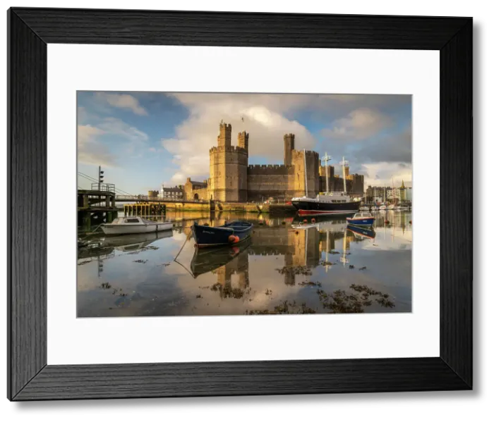 Framed Print : Caernarfon Castle reflected in the calm waters of the Afon Seiont, Caernarfon, North Wales, UK. Spring (May) 2023 Framed Print : Caernarfon Castle reflected in the calm waters of the Afon Seiont, Caernarfon, North Wales, UK. Spring (May) 2023