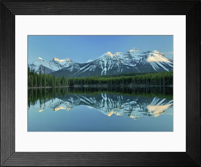 Framed Print : Reflection of Herbert Lake and the Bow Mountain Range, Banff National Park, Alberta, Canada Framed Print : Reflection of Herbert Lake and the Bow Mountain Range, Banff National Park, Alberta, Canada
