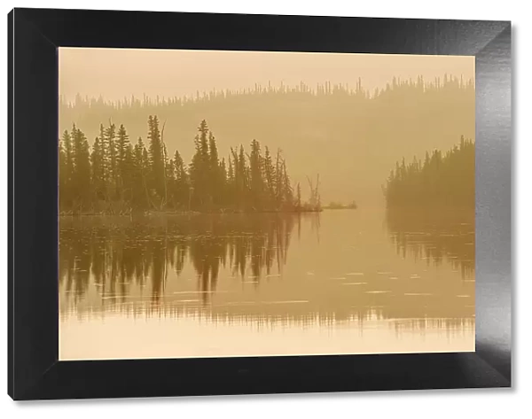 Trees reflected in Edna Lake during a foggy sunrise, Jasper National Park, Alberta, Canada