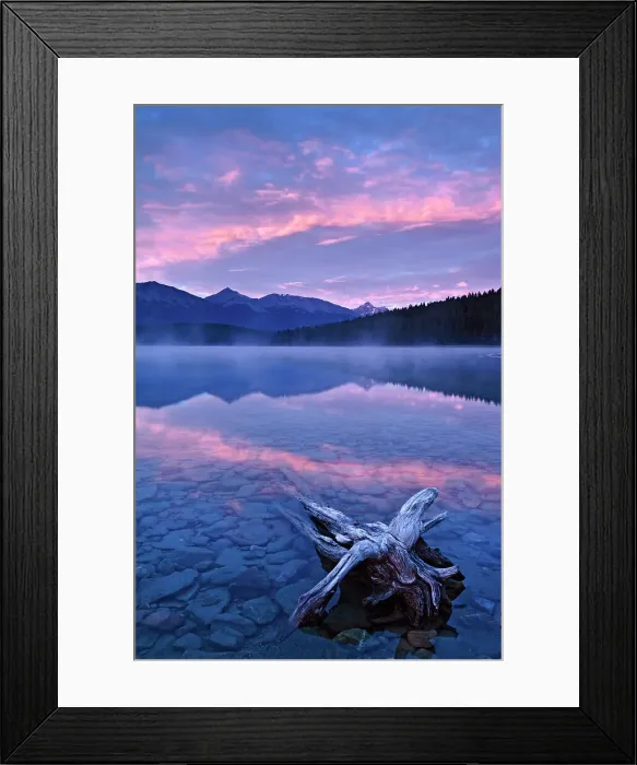 Framed Print : drfitwood and pink clouds reflected in calm waters of Patricia Lake at dawn, Jasper National Park, Alberta, Canada Framed Print : drfitwood and pink clouds reflected in calm waters of Patricia Lake at dawn, Jasper National Park, Alberta, Canada