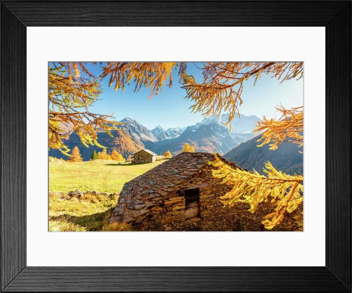 Framed Print : Autumn at Alpe dell'Oro, Malenco Valley, Valtellina, Sondrio, Lombardy, Italy Framed Print : Autumn at Alpe dell'Oro, Malenco Valley, Valtellina, Sondrio, Lombardy, Italy
