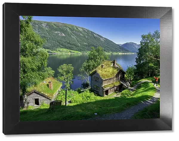 Turist photograp Old farms with grass roof, Astruptunet, Jolster, Sunnfjord, Sogn og Fjordane county, Norway