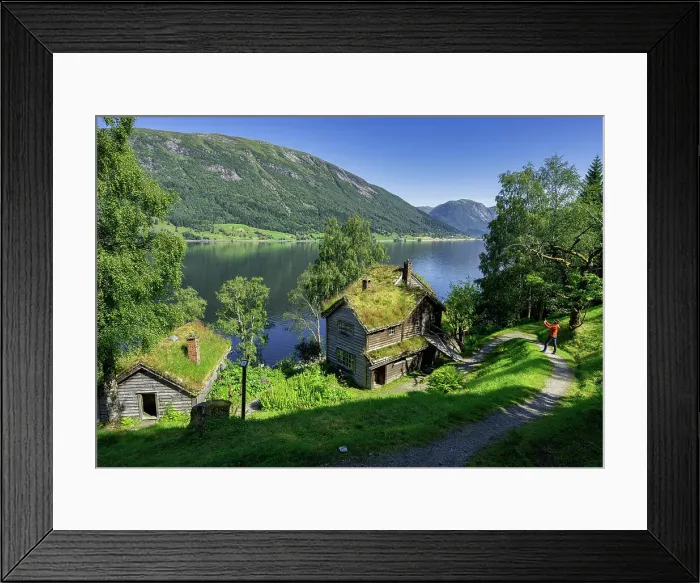 Framed Print : Turist photograp Old farms with grass roof, Astruptunet, Jolster, Sunnfjord, Sogn og Fjordane county, Norway