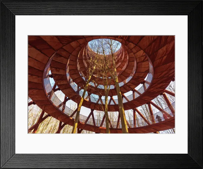 Framed Print : Detail view from below of the spiral path climbing the architectural structure of the forest tower among trees, Zealand, Denmark Framed Print : Detail view from below of the spiral path climbing the architectural structure of the forest tower among trees, Zealand, Denmark