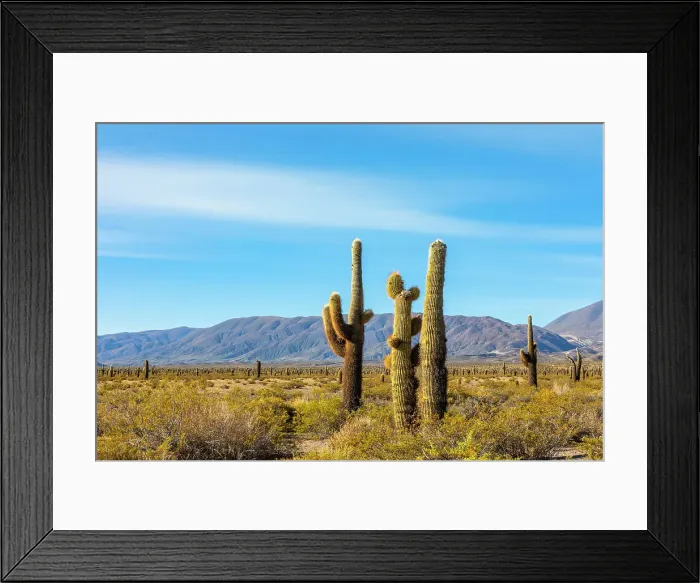 Framed Print : Los Cardones National Park, Salta, Argentina Framed Print : Los Cardones National Park, Salta, Argentina