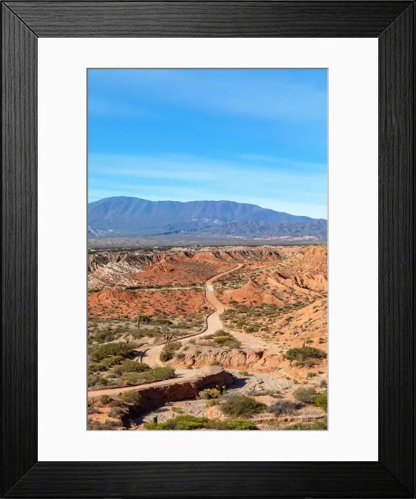 Framed Print : Los Cardones National Park, Salta, Argentina Framed Print : Los Cardones National Park, Salta, Argentina