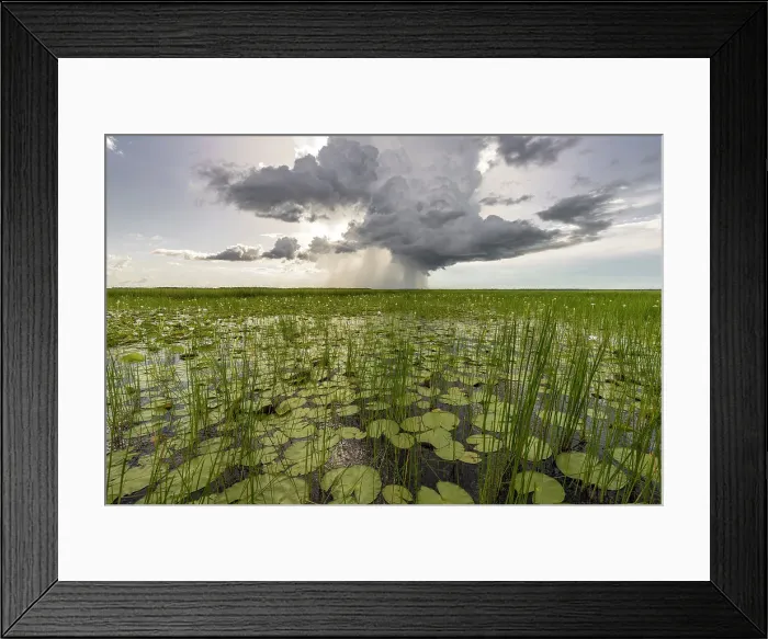 Framed Print : Cloudburst over Swim Creek floodplain, Bamurru Plains, Northern Territory, Australia Framed Print : Cloudburst over Swim Creek floodplain, Bamurru Plains, Northern Territory, Australia
