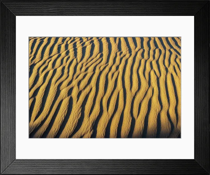Framed Print : Animal tracks on Perry Sandhills, Wentworth, New South Wales, Australia Framed Print : Animal tracks on Perry Sandhills, Wentworth, New South Wales, Australia