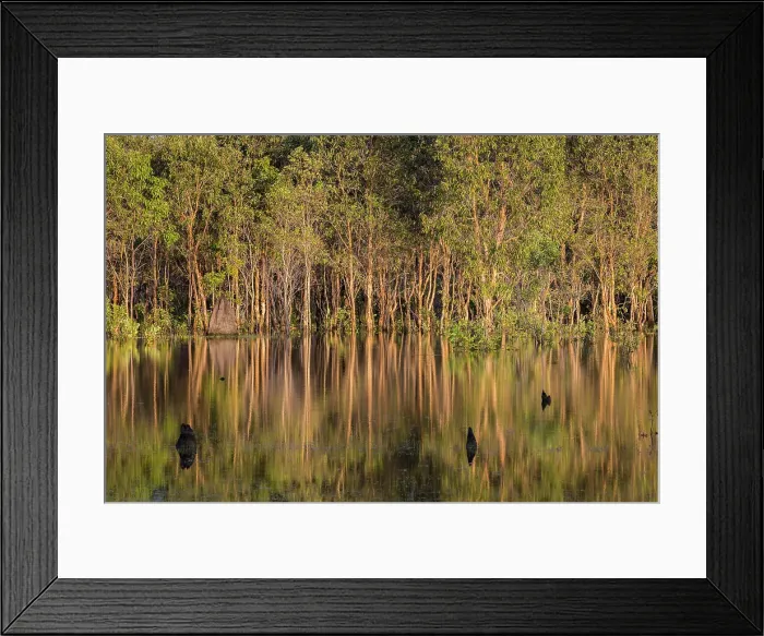 Framed Print : Bore Billabong, Bamurru Plains, Northern Territory, Australia Framed Print : Bore Billabong, Bamurru Plains, Northern Territory, Australia