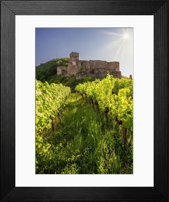 Framed Print : Hinterhaus castle, Spitz, Lower Austria, Austria Framed Print : Hinterhaus castle, Spitz, Lower Austria, Austria