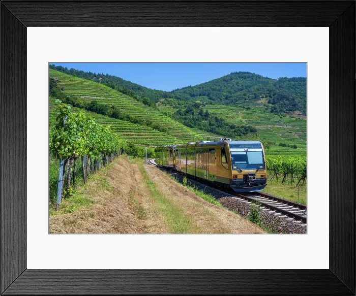 Framed Print : Wachau Railway train between vineyards near Weissenkirchen in der Wachau, Lower Austria, Austria Framed Print : Wachau Railway train between vineyards near Weissenkirchen in der Wachau, Lower Austria, Austria
