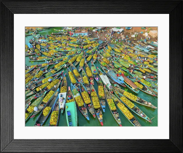 Framed Print : Aerial view of floating market of seasonal fruits on the boats in Kaptai Lake, Rangamati, Bangladesh Framed Print : Aerial view of floating market of seasonal fruits on the boats in Kaptai Lake, Rangamati, Bangladesh
