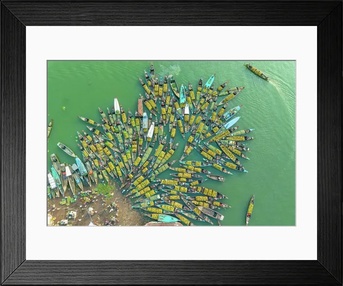 Framed Print : Aerial view of floating market of seasonal fruits on the boats in Kaptai Lake, Rangamati, Bangladesh Framed Print : Aerial view of floating market of seasonal fruits on the boats in Kaptai Lake, Rangamati, Bangladesh