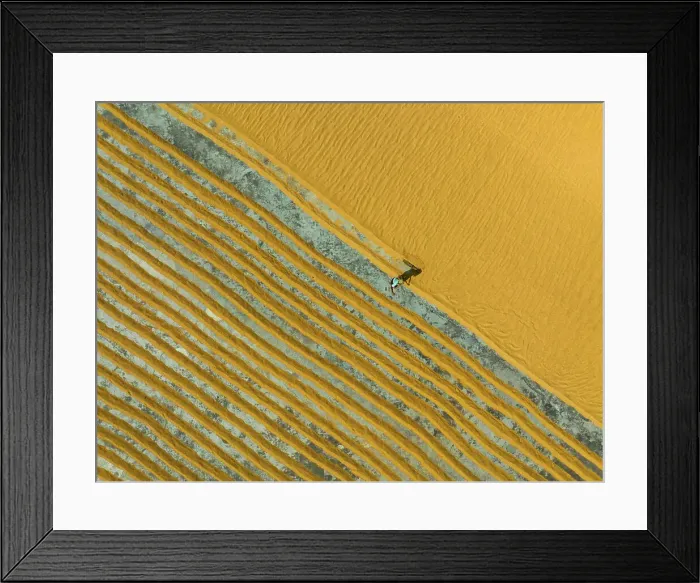 Framed Print : Aerial view of people working in a rice mill field, Dhamrai, Dhaka, Bangladesh Framed Print : Aerial view of people working in a rice mill field, Dhamrai, Dhaka, Bangladesh