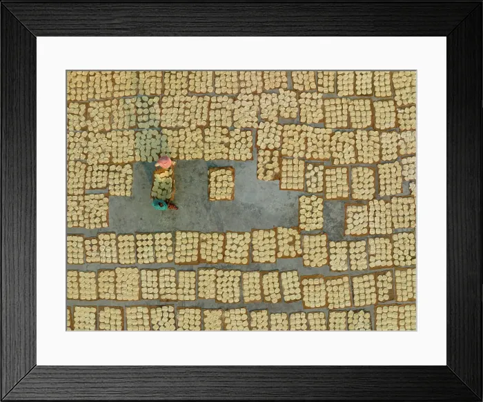 Framed Print : Aerial view of people working in the traditional vermicelli factory in Bogura, Bangladesh Framed Print : Aerial view of people working in the traditional vermicelli factory in Bogura, Bangladesh