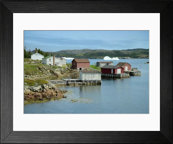 Framed Print : Canada, Maritimes, Newfoundland, Twillingate, Purcell's Harbour Framed Print : Canada, Maritimes, Newfoundland, Twillingate, Purcell's Harbour