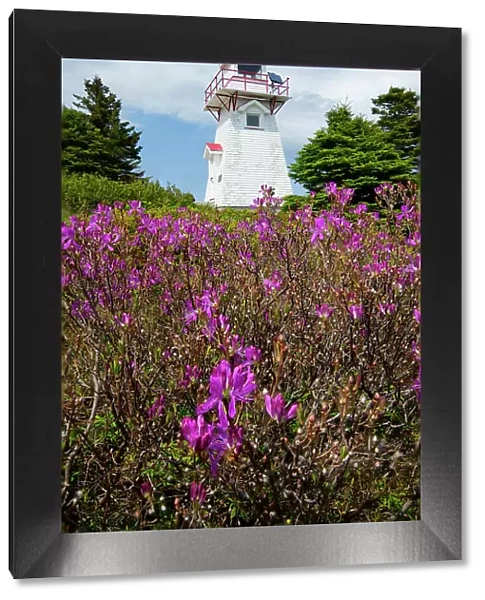 Canada, Maritimes, Newfoundland, Gulf of St. Lawrence, Bonne Bay, Woody Point Lighthouse