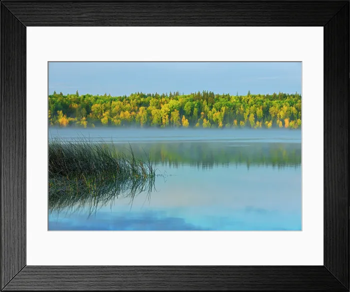 Framed Print : Lawrence Lake in autumn Lawrence Lake Provincial Park, Alberta, Canada Lawrence Lake Provincial Park, Alberta, Canada Framed Print : Lawrence Lake in autumn Lawrence Lake Provincial Park, Alberta, Canada Lawrence Lake Provincial Park, Alberta, Canada