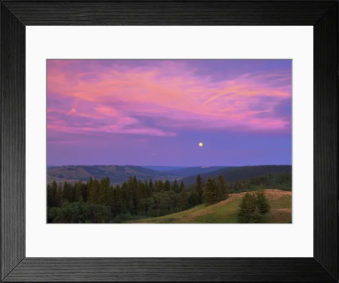 Framed Print : Full moon at sunset from Reesor Lake VIewpoint Cypress Hills Provincial Park, Alberta, Canada