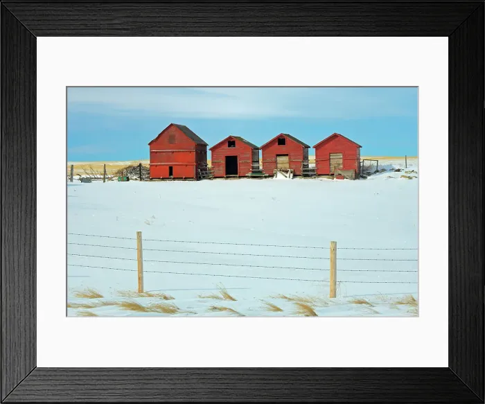Framed Print : Red wooden graneries in winter Hussar, Alberta, Canada Framed Print : Red wooden graneries in winter Hussar, Alberta, Canada