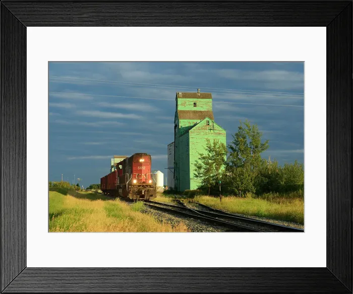 Framed Print : Old grain elevators with train on the Canadian Prairie Sexsmith, Alberta, Canada