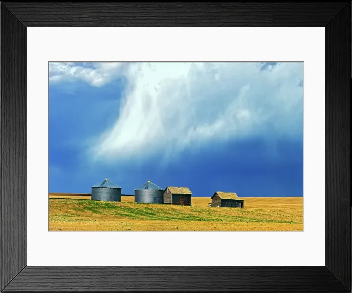 Framed Print : Graneries in storm light East Central Alberta, Alberta, Canada Framed Print : Graneries in storm light East Central Alberta, Alberta, Canada