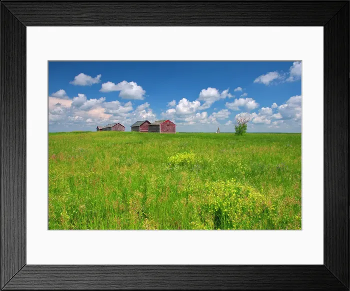 Framed Print : Graneries and clouds Oyen, Alberta, Canada Framed Print : Graneries and clouds Oyen, Alberta, Canada